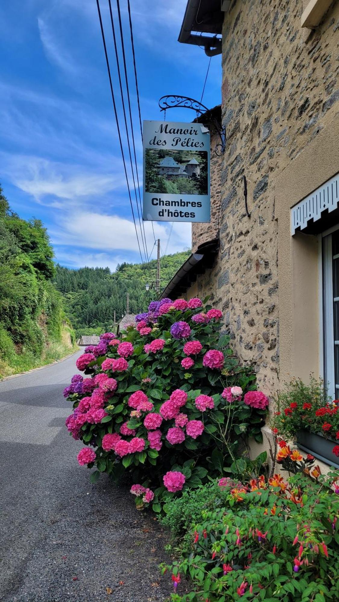 Manoir Des Pelies Spa Conques Exterior foto